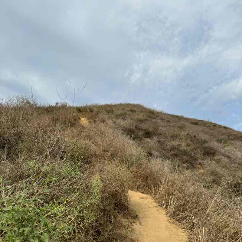 nguerrero1217 post 1