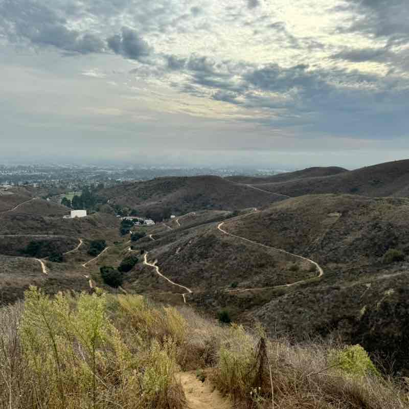 nguerrero1217 post 1