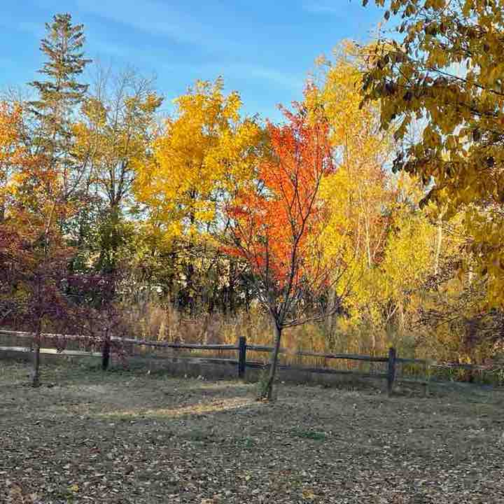 rmaldonadoz71 post 1