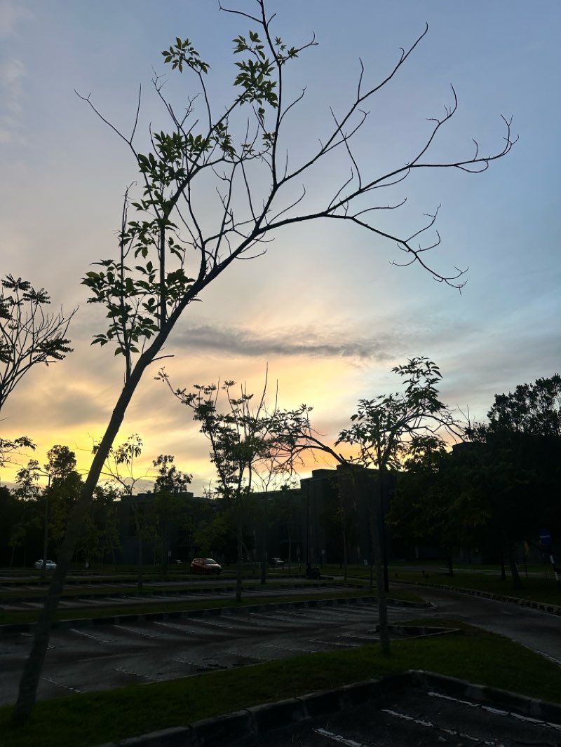 walking near me in Chancellor Park in winter