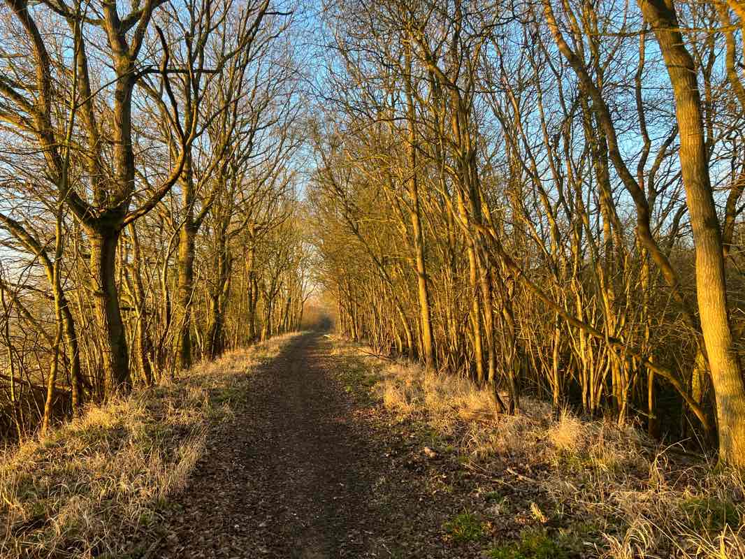 walking near me in Melford Park in spring