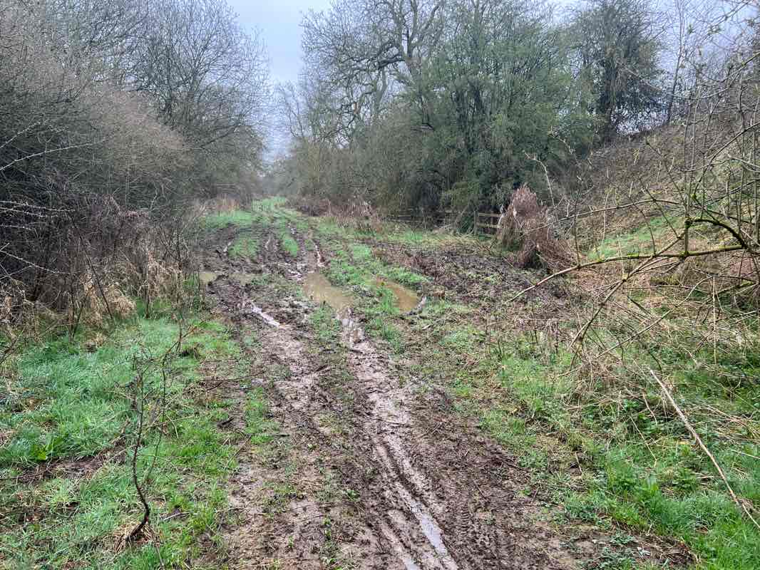 walking near me in Whinfield Recreation Ground in spring