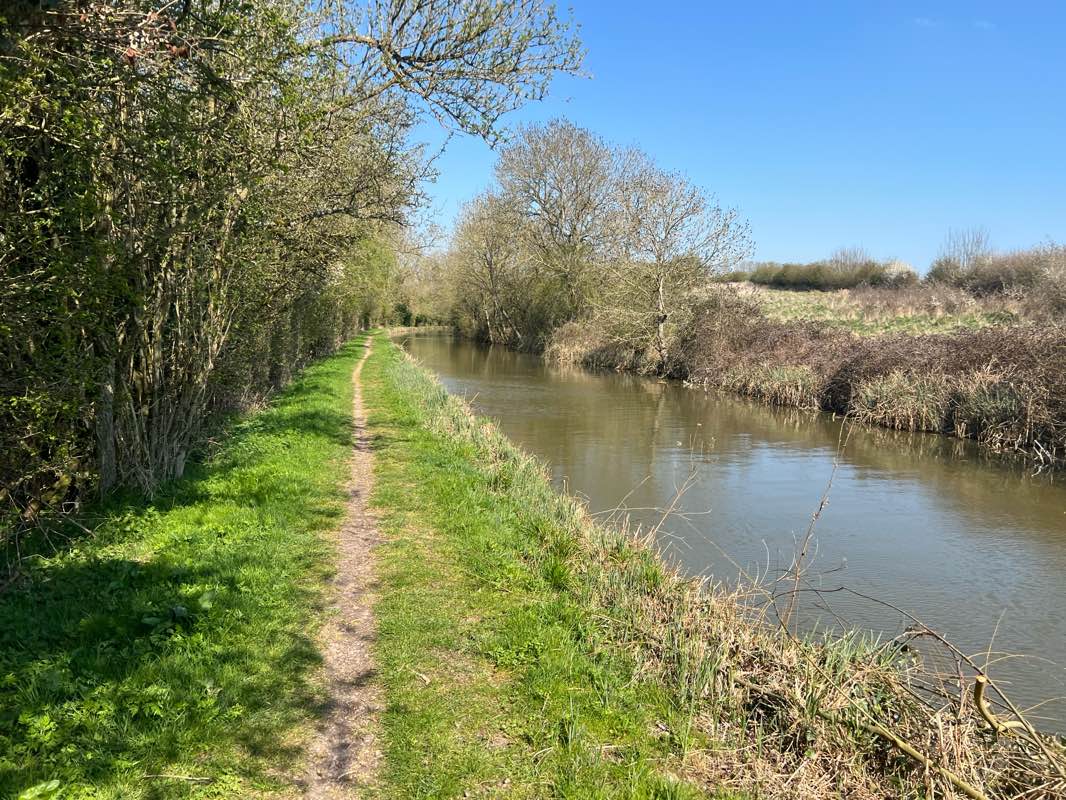 walking near me in Bankside Park in spring