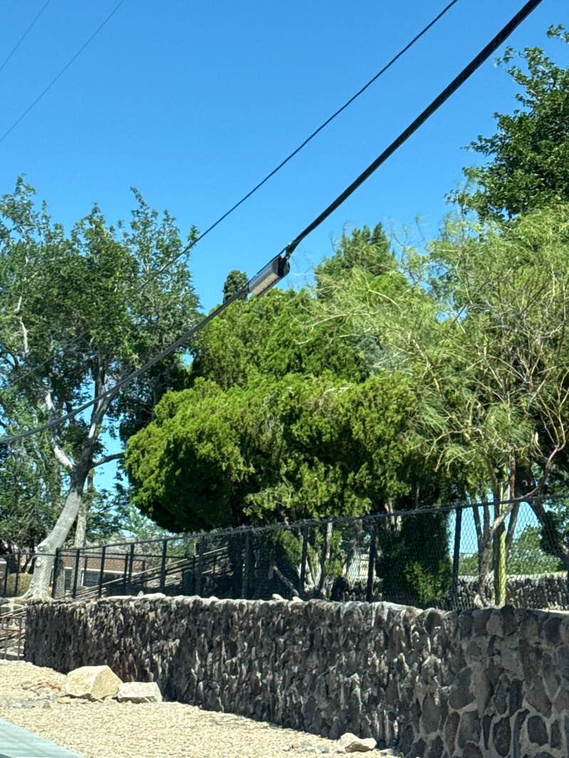 walking near me in Metcalfe Park in autumn