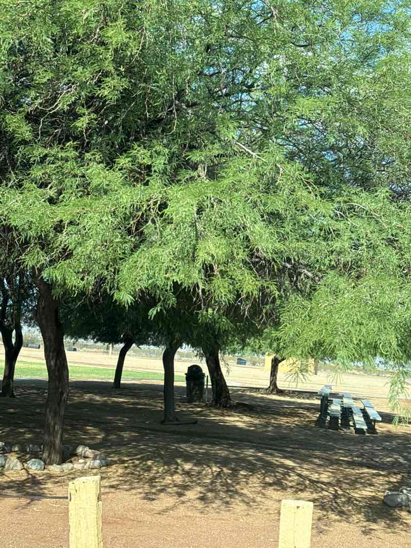 walking near me in Veterans Park in summer