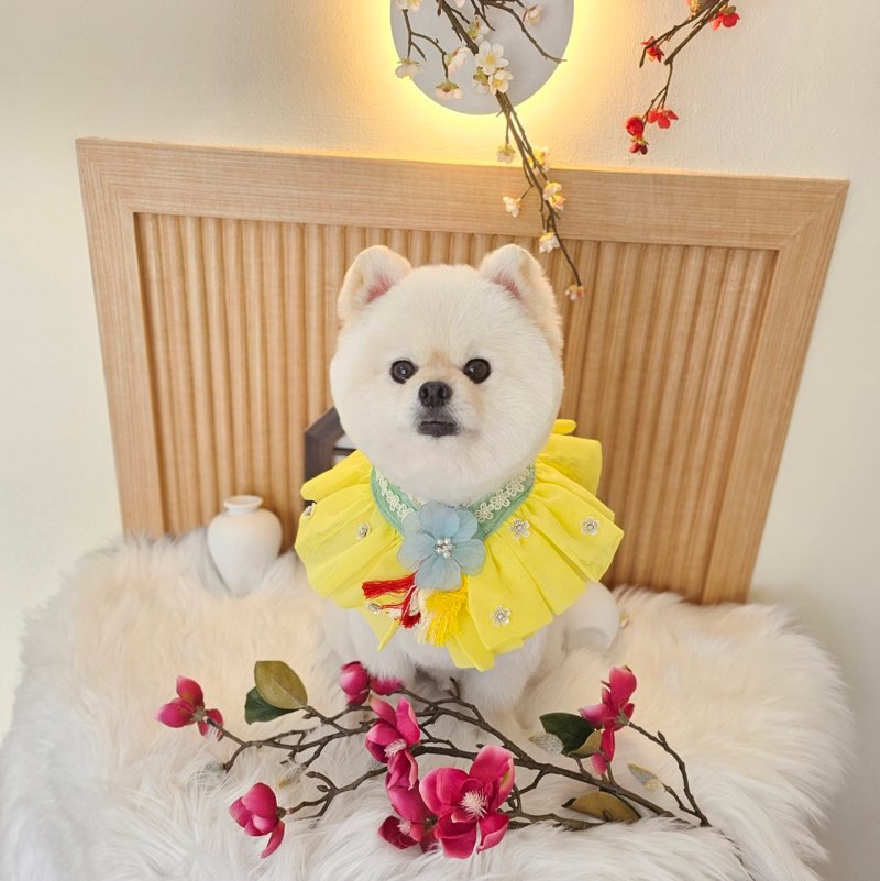 ZAZ특공대_주찬준 icon