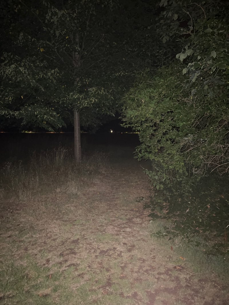 walking near me in Oaklands Park in autumn