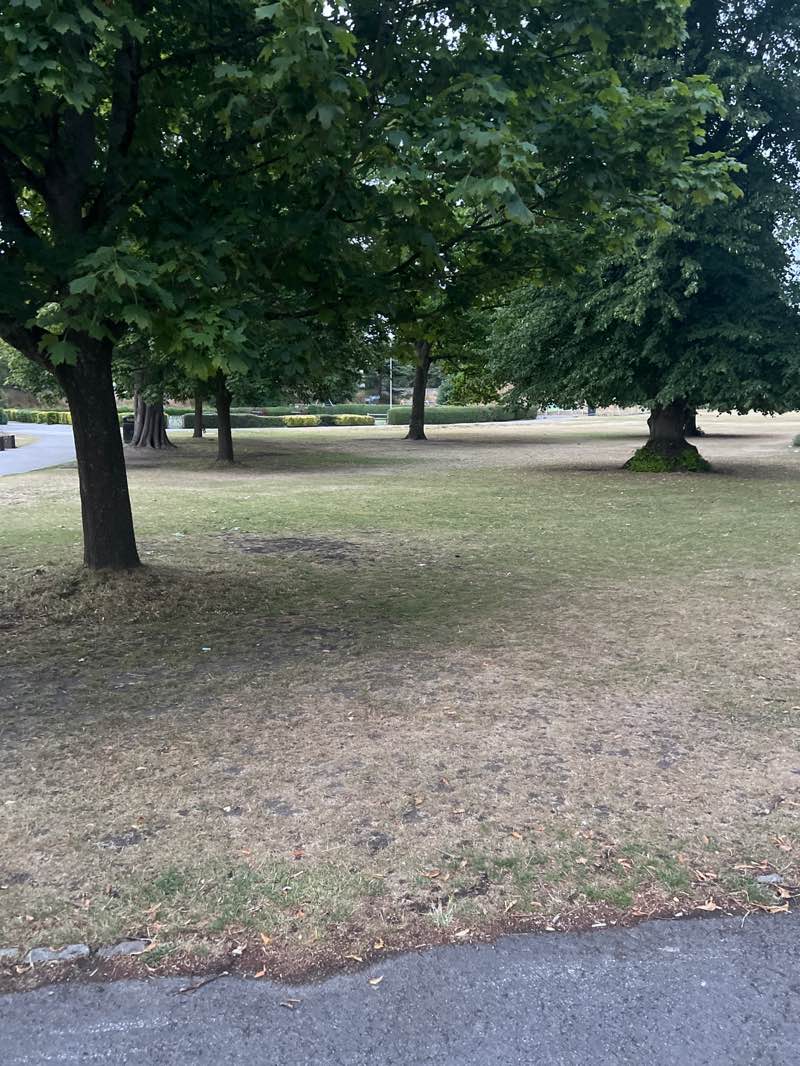 walking near me in Priory Park in autumn