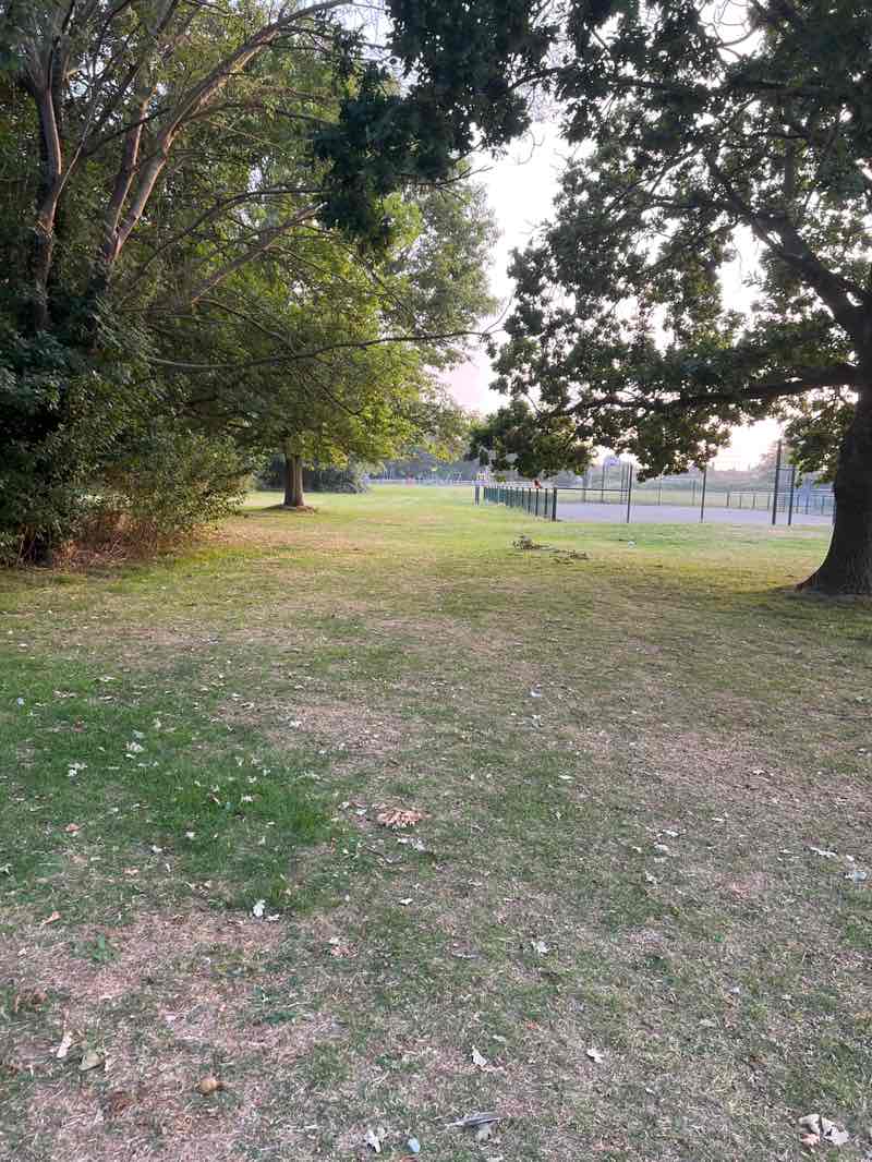 walking near me in Avisford Park in autumn