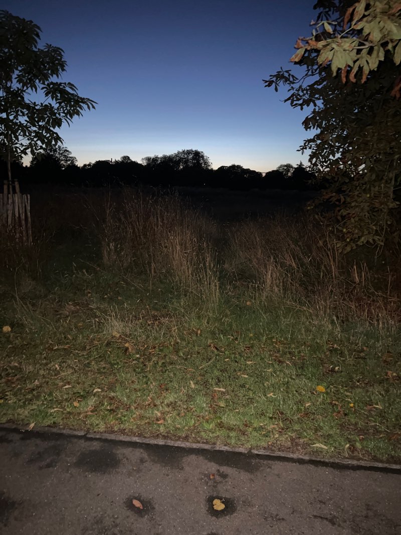 walking near me in Havenstoke Park. in autumn