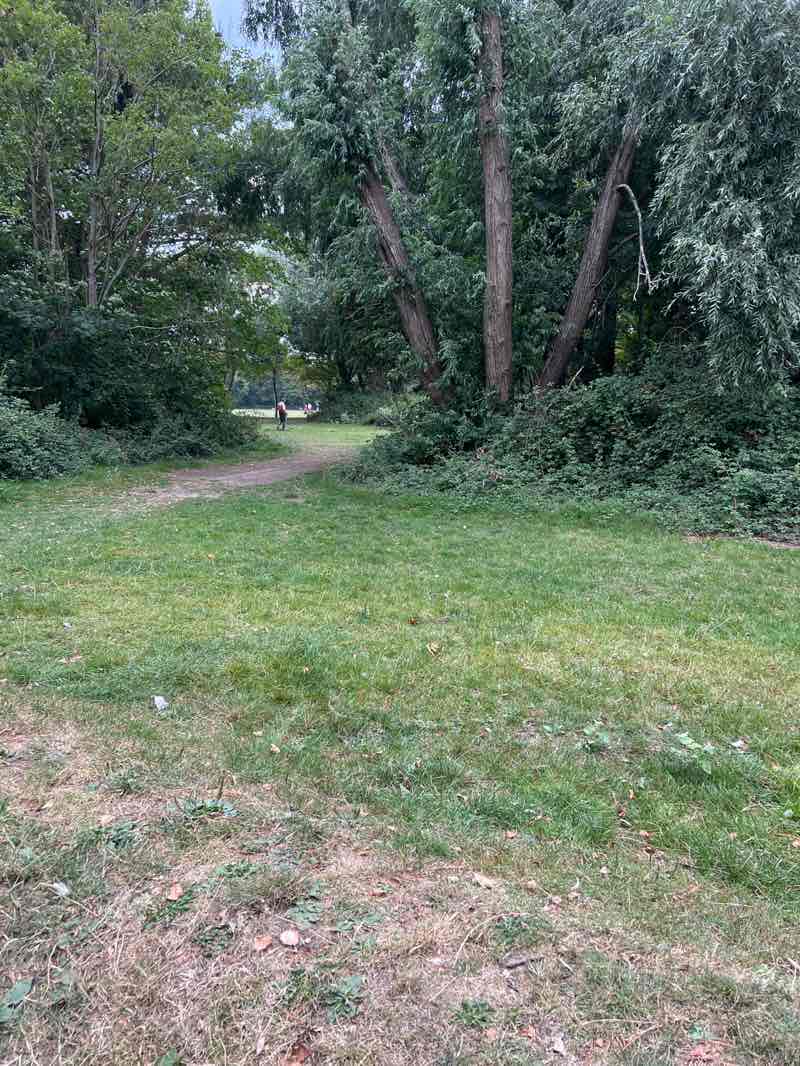 walking near me in West Park in autumn