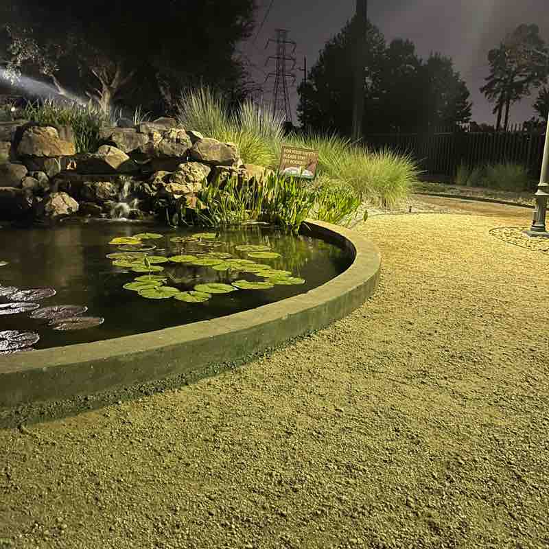 The LNN Way ! Omar post image