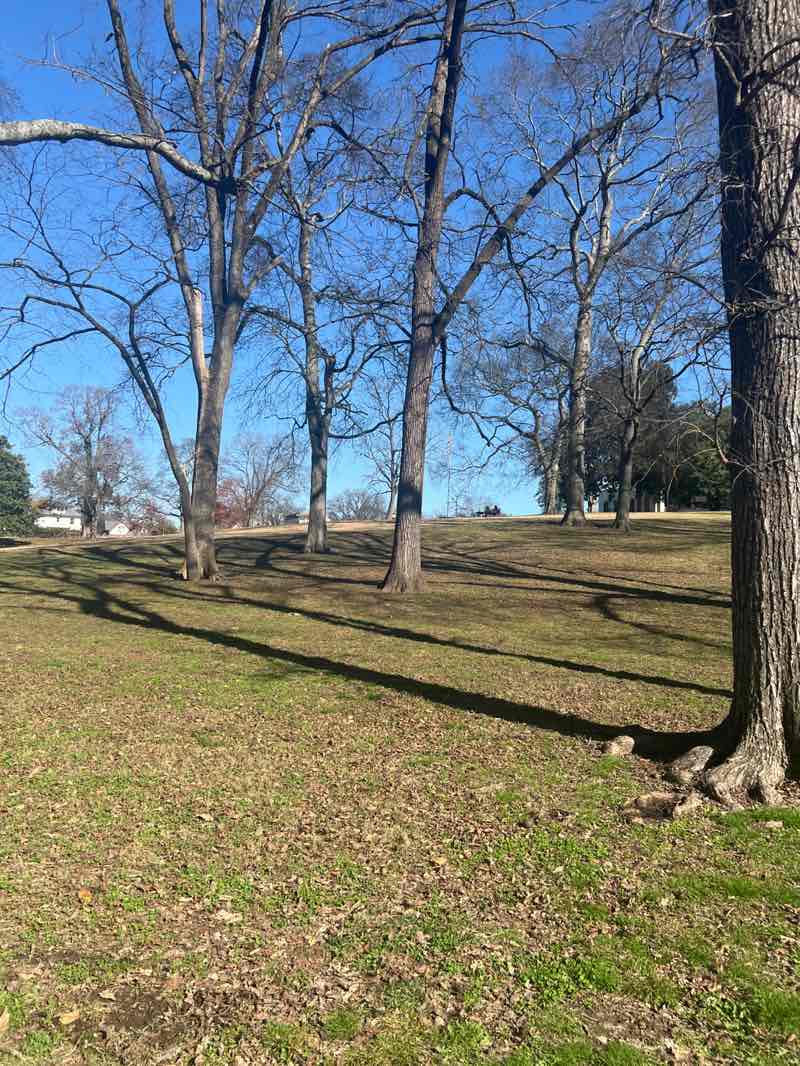 walking near me in Sevier Park in autumn