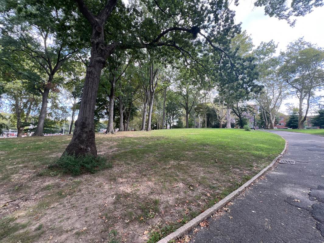 walking near me in Astoria Park in autumn