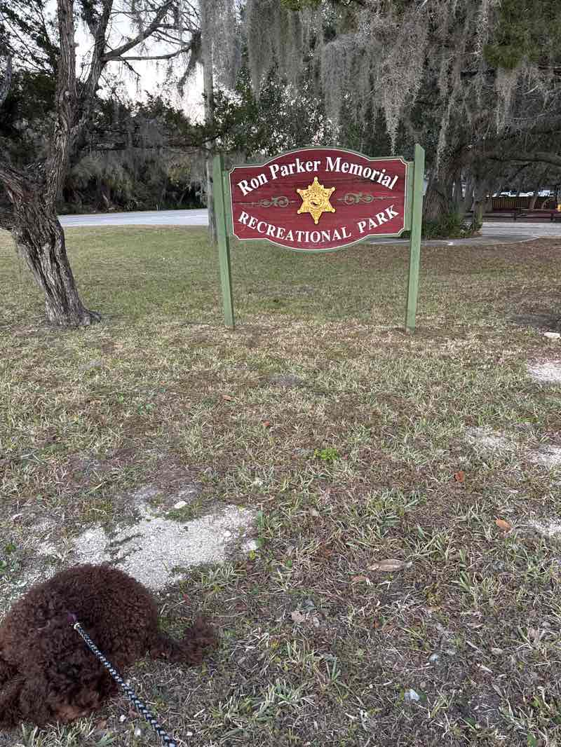 walking near me in Ron Parker Park in winter