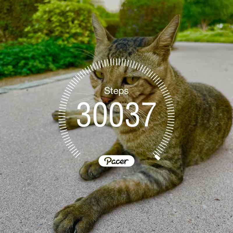 ഷെക്കീബ് തലപ്പുഴ post 1