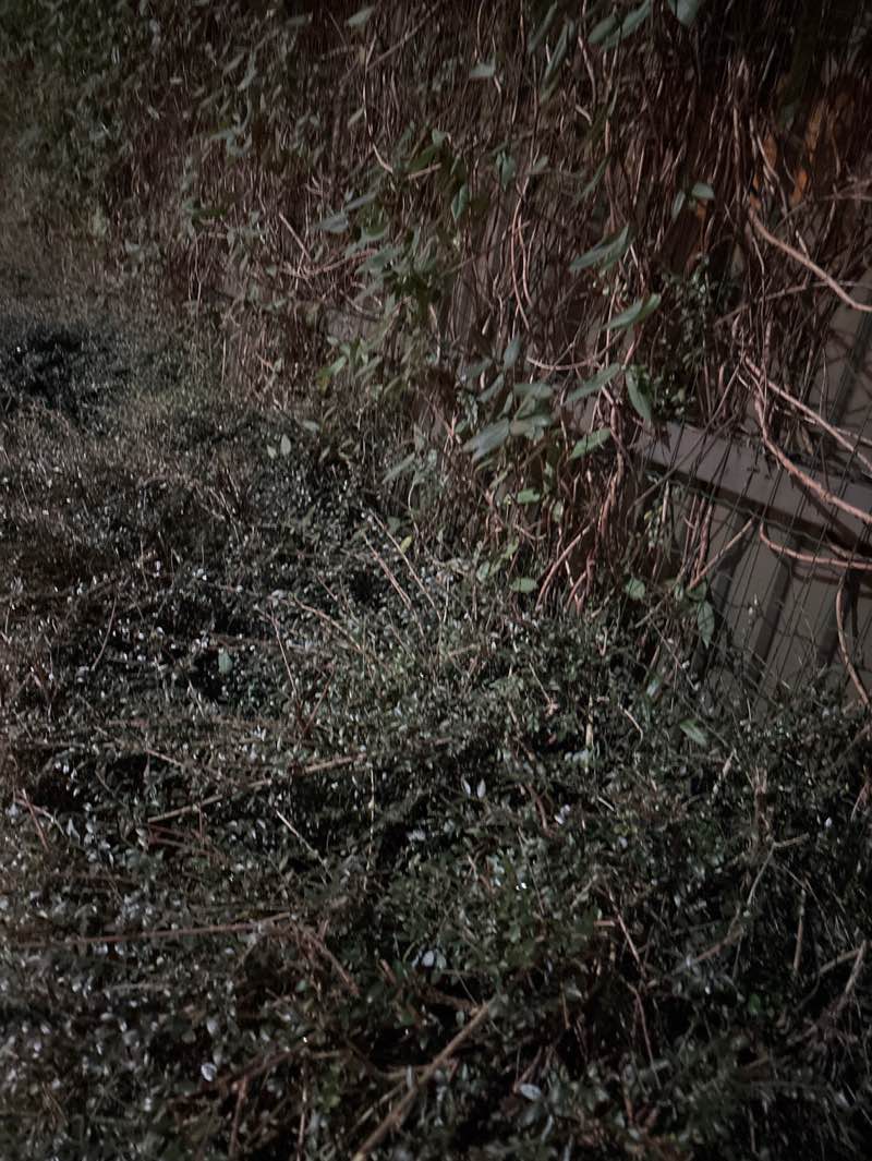 walking near me in Solhaug park in winter