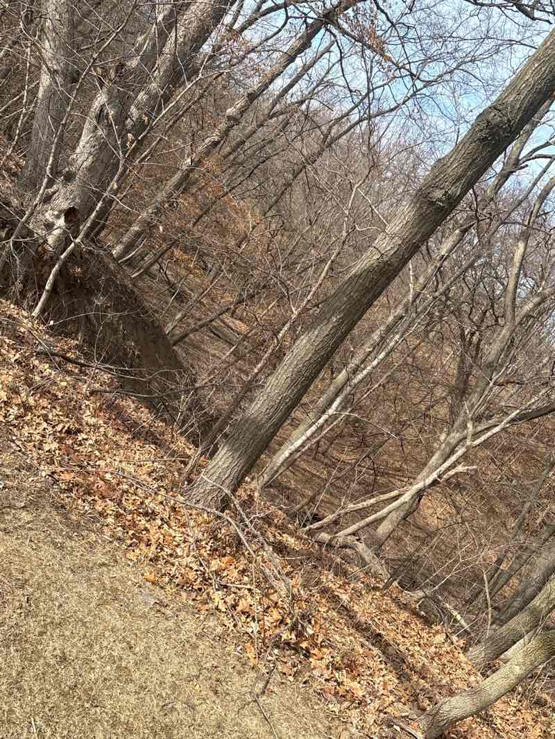 walking near me in Chartwell Park in spring