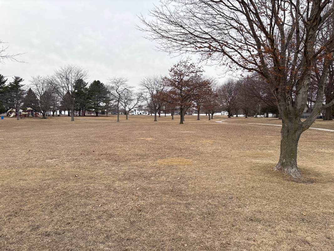 walking near me in Southwood Park in winter