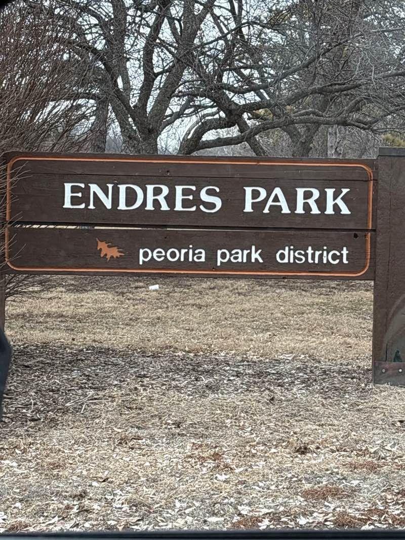 walking near me in Endres Park in winter