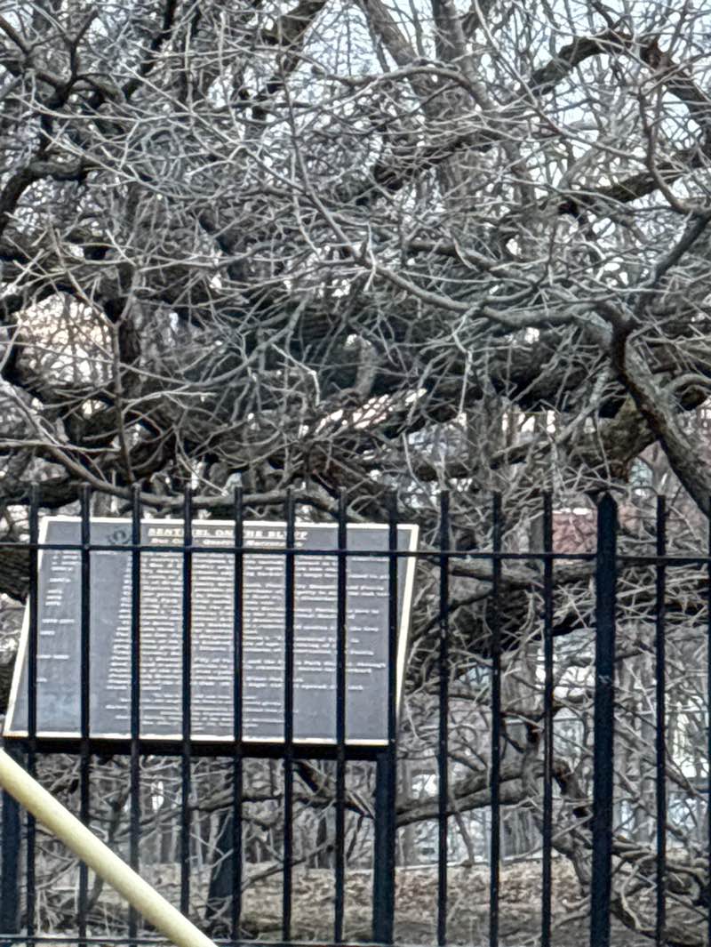 walking near me in Giant Oak Park in winter