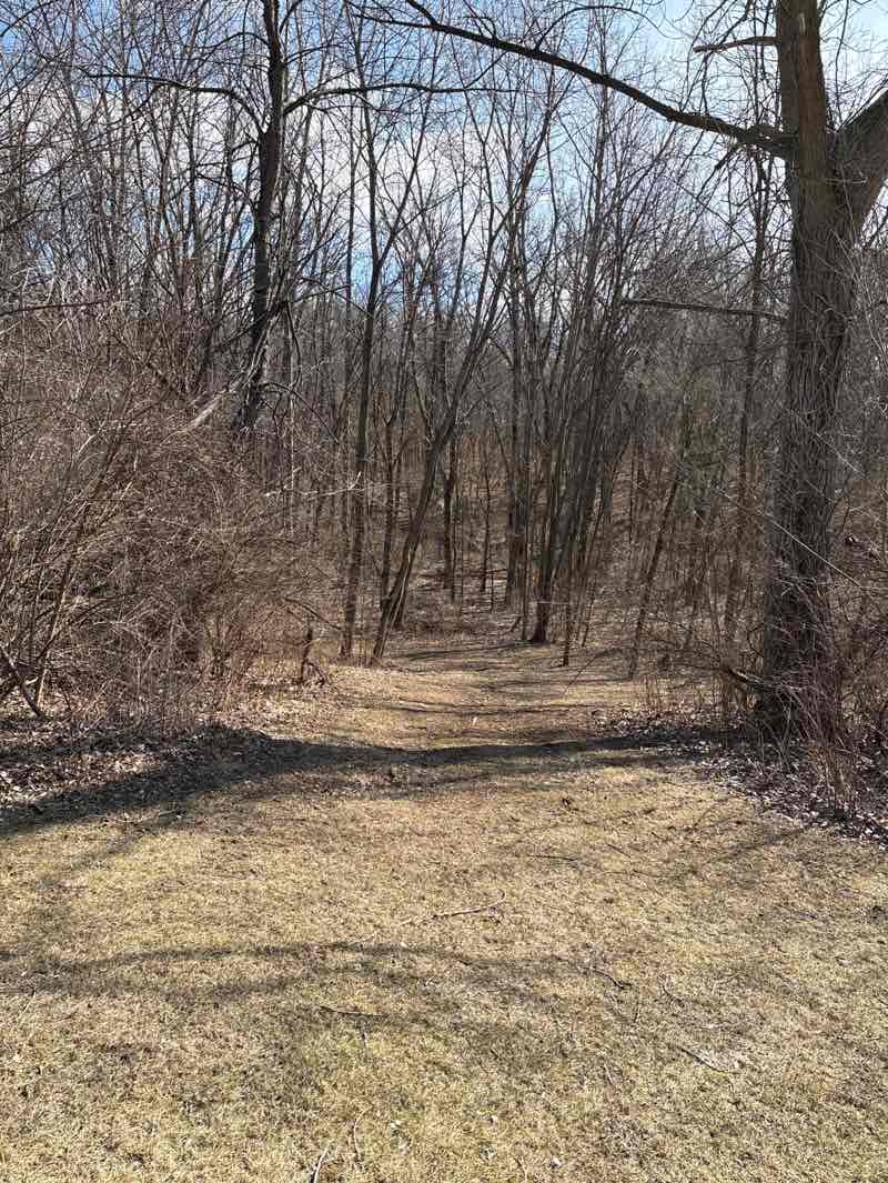 walking near me in Tuscarora Park in winter
