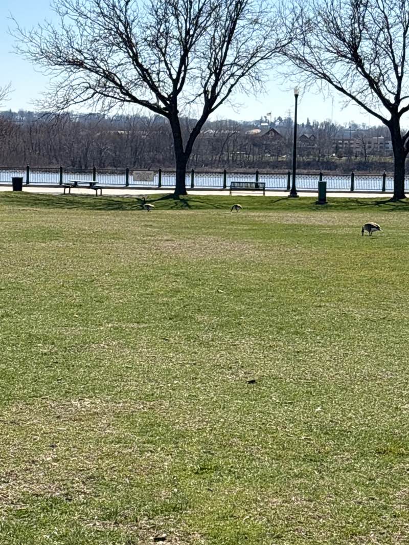 walking near me in James W. Baldwin RiverFront Festival Park in spring