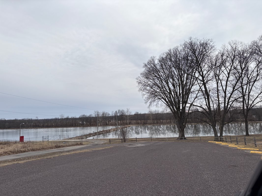 walking near me in Westwood Park in spring