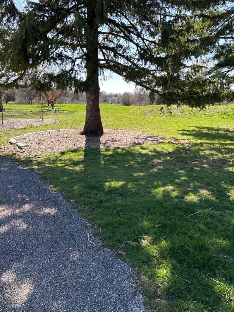 walking near me in Donovan Park in spring