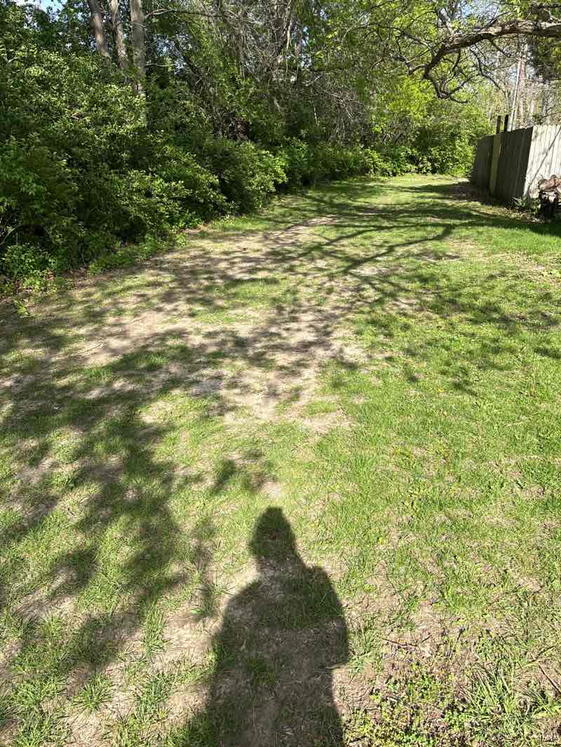 walking near me in Creighton Woods Park in spring