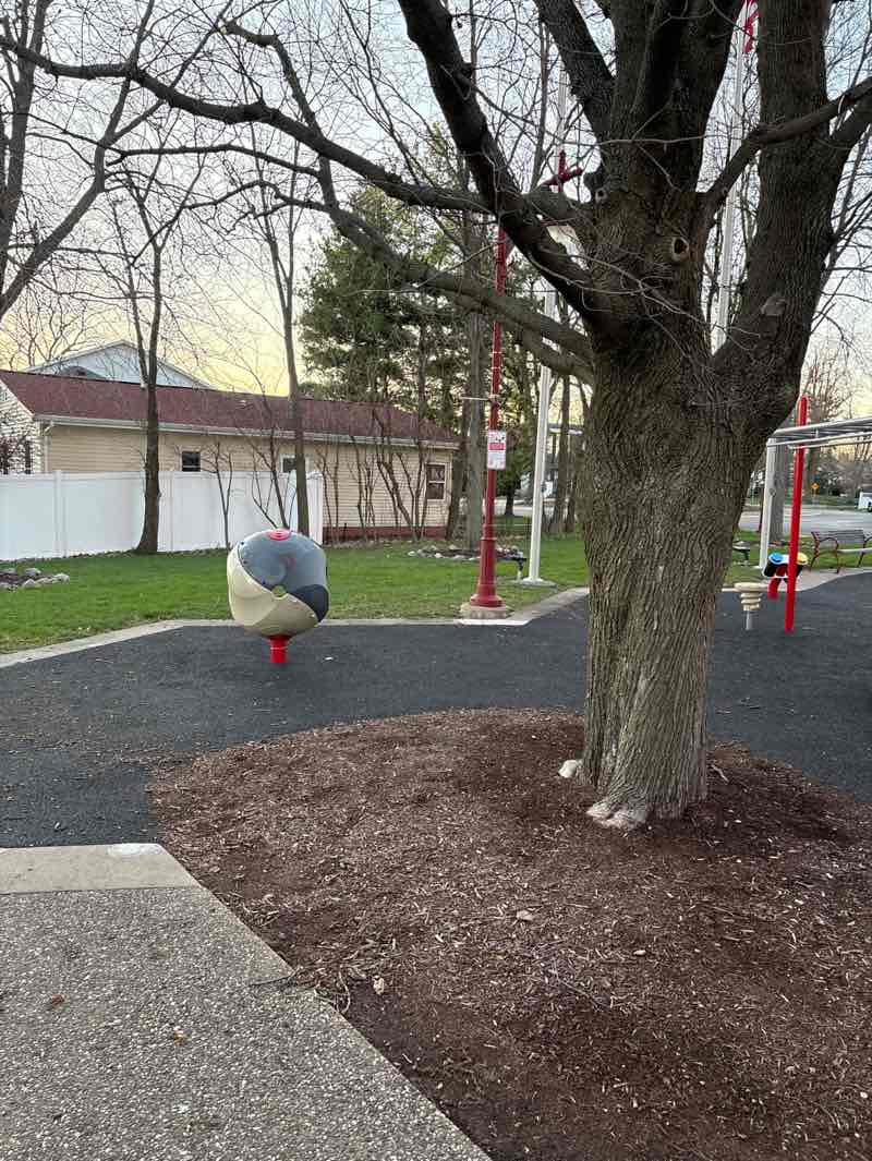 walking near me in Tower Park in spring