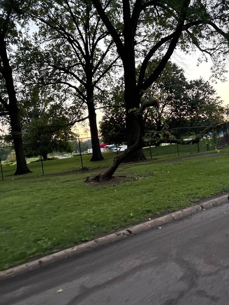 walking near me in Mineral Springs Park in summer