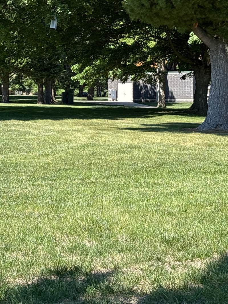 walking near me in Idlewood Park in summer