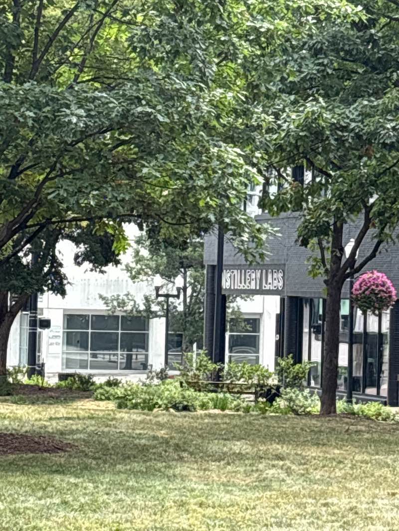 walking near me in Fulton Street Plaza greenspace in summer