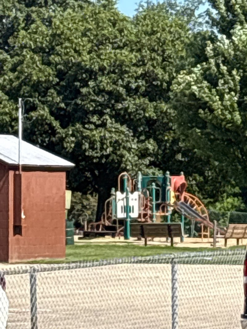 walking near me in Markwoodlands Park in summer