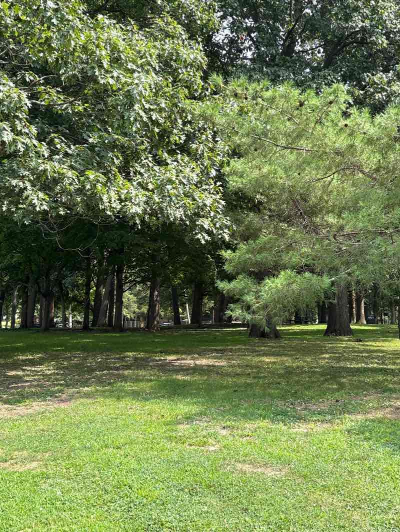 walking near me in Illini Grove in summer