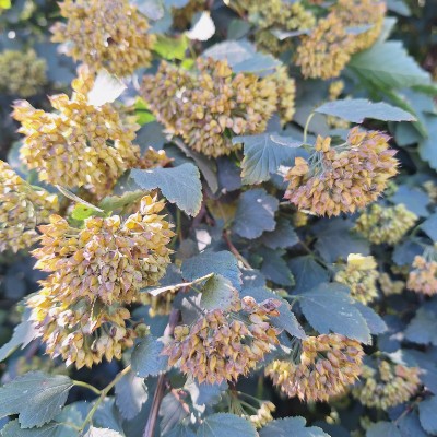 🥰 Юлия Моисеева (г.Сасово) post image