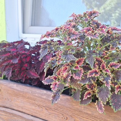 🥰 Юлия Моисеева (г.Сасово) post image