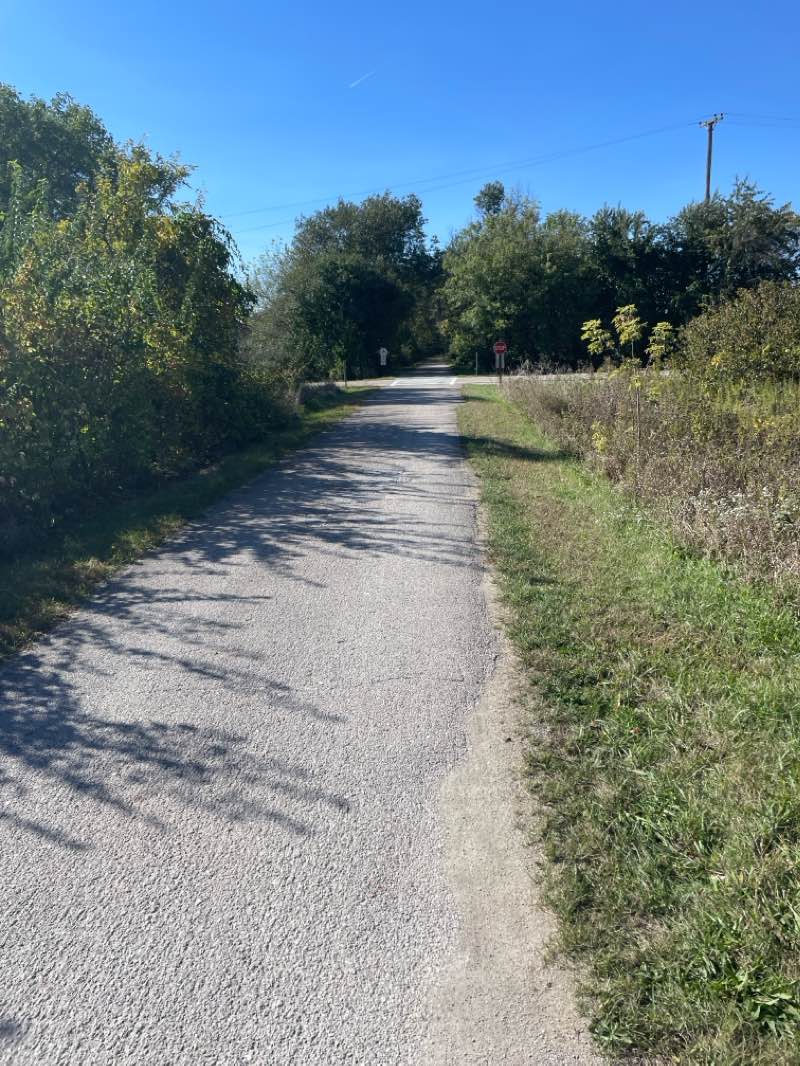 walking near me in Legion Fields in winter