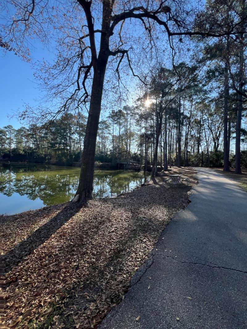 walking near me in Collins Park in winter