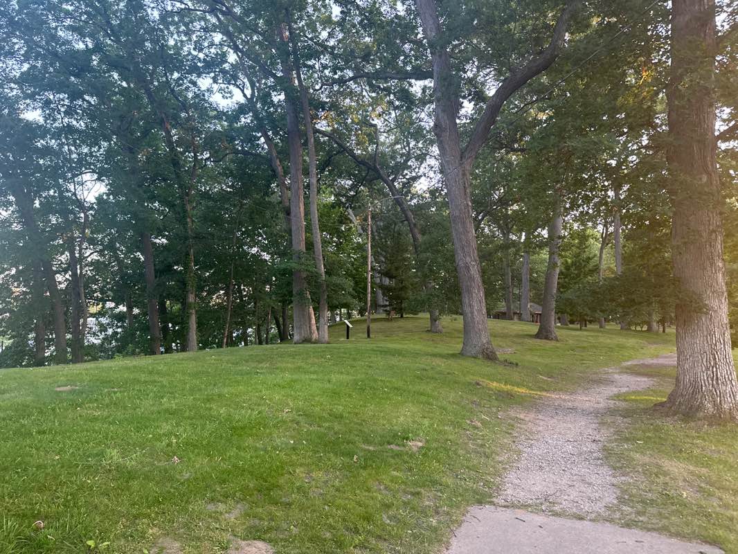 walking near me in Stanley Johnson Park in summer