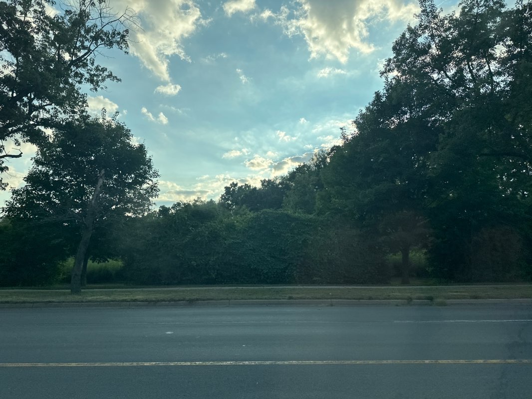 walking near me in Flesher Field in summer