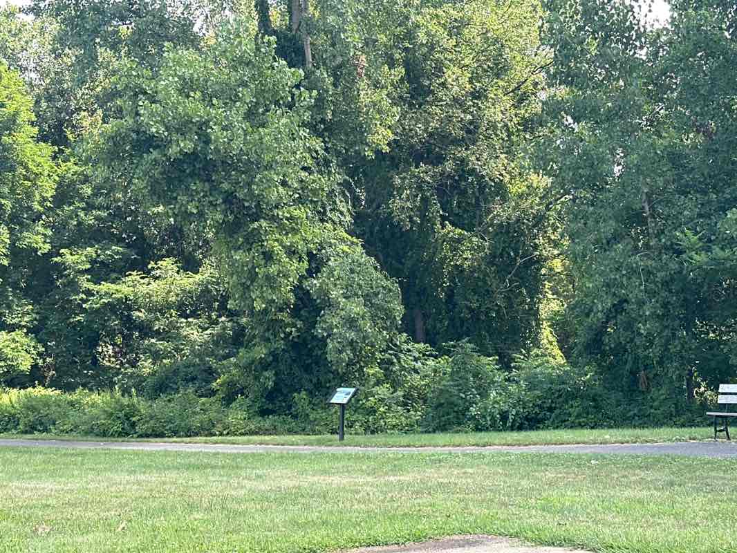 walking near me in Oshtemo Township Park in summer