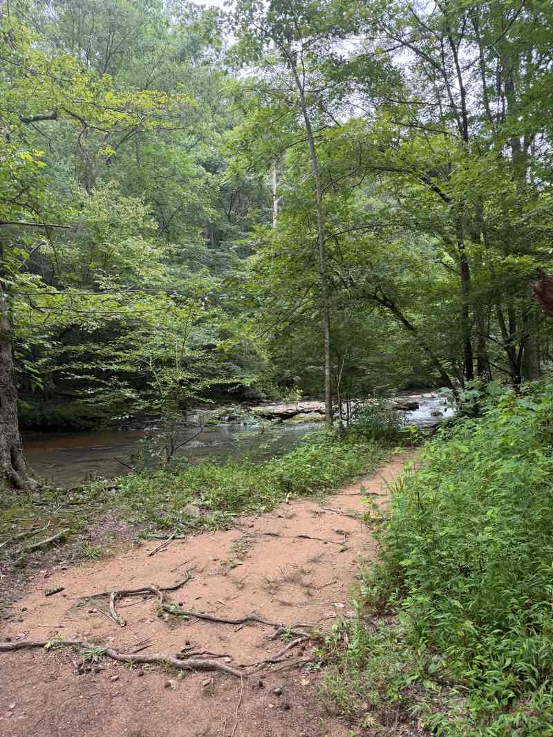 walking near me in Turkey Creek Nature Preserve in summer
