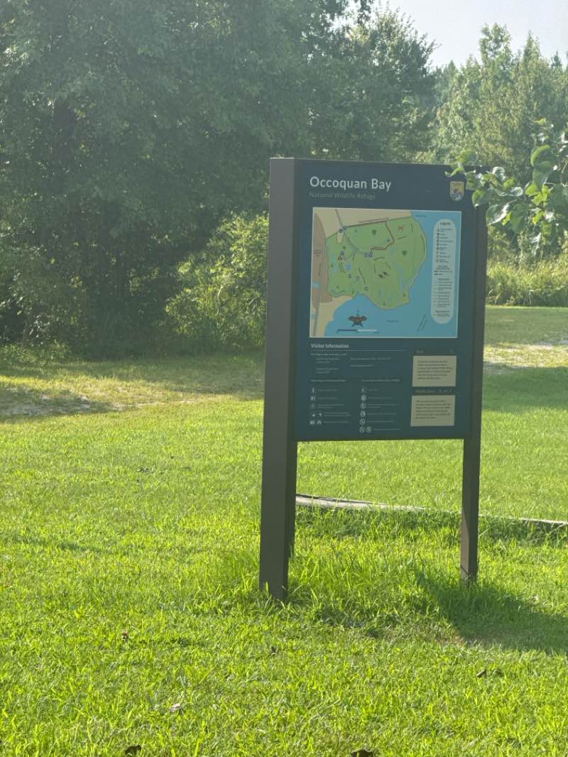walking near me in Occoquan Bay National Wildlife Refuge in summer