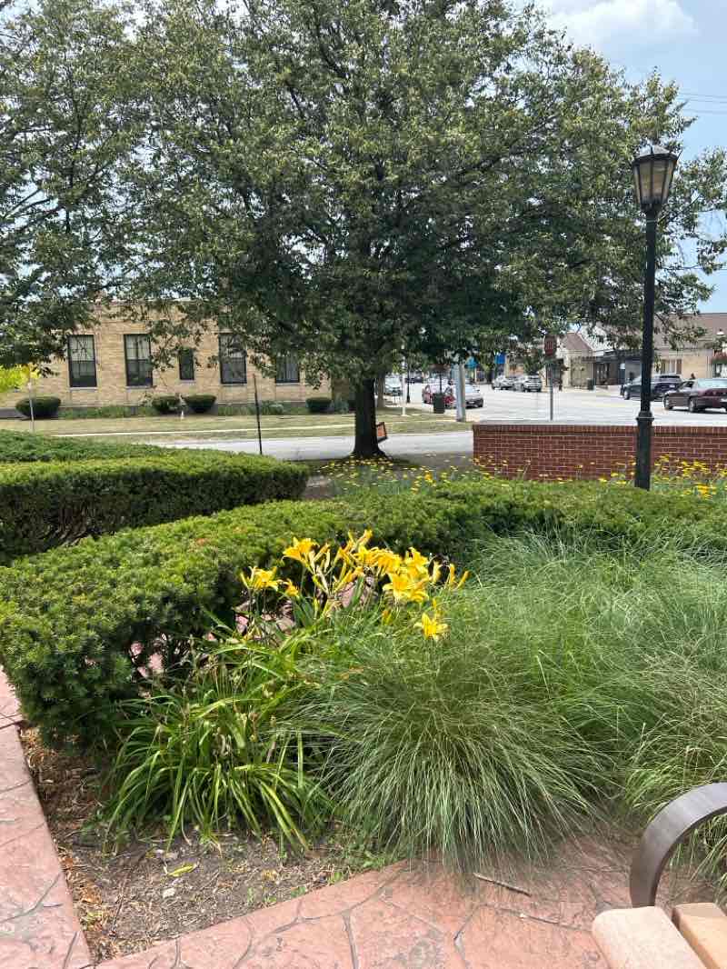 walking near me in Richard D. Irwin Park in summer