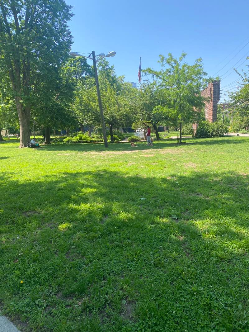 walking near me in Pershing Field in spring
