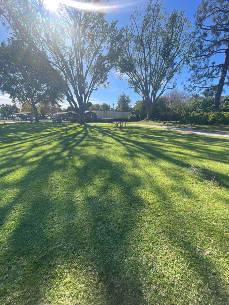 walking near me in Baldwin Stocker Park in winter