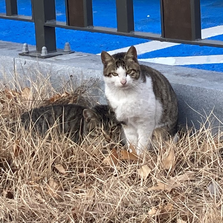 예건