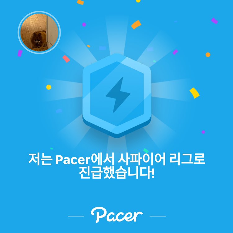 운동해서 맛있는거 먹기 예건 post image